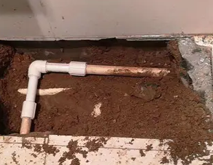 大同市测漏水哪家好