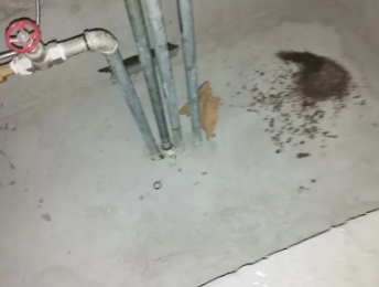 大同市卫生间测漏水价格明细